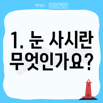 1. 눈 사시란 무엇인가요?