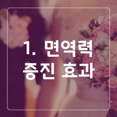1. 면역력 증진 효과