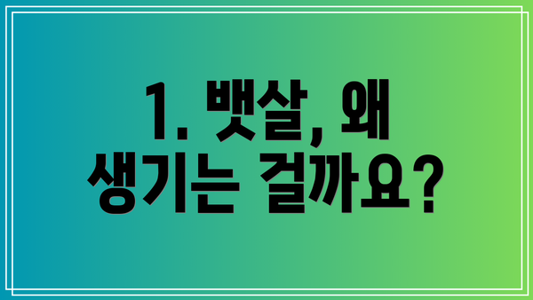 1. 뱃살, 왜 생기는 걸까요?