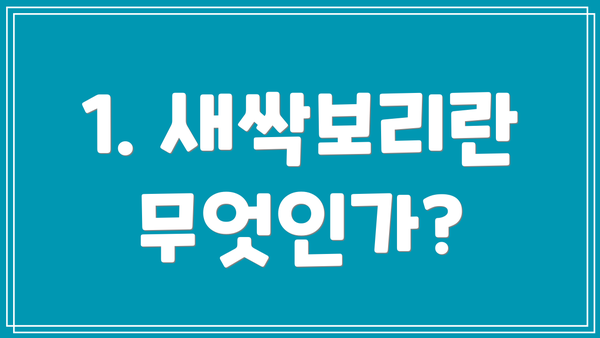 1. 새싹보리란 무엇인가?