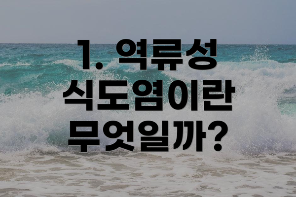 1. 역류성 식도염이란 무엇일까?