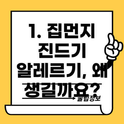 1. 집먼지 진드기 알레르기, 왜 생길까요?