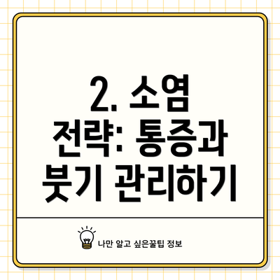 2. 소염 전략: 통증과 붓기 관리하기