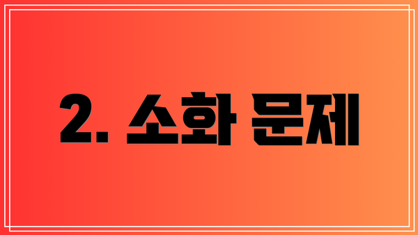 2. 소화 문제