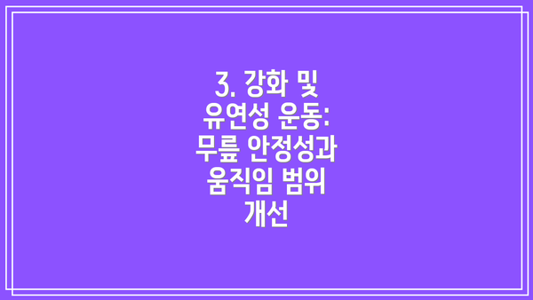 3. 강화 및 유연성 운동: 무릎 안정성과 움직임 범위 개선