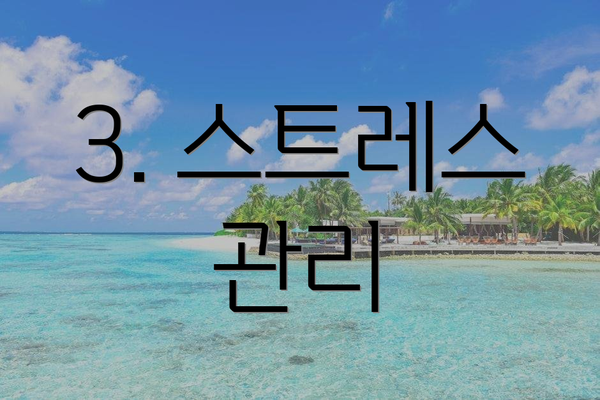 3. 스트레스 관리