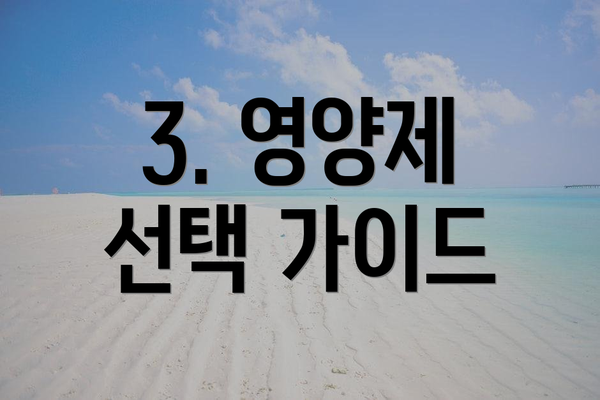 3. 영양제 선택 가이드