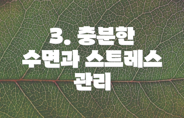 3. 충분한 수면과 스트레스 관리