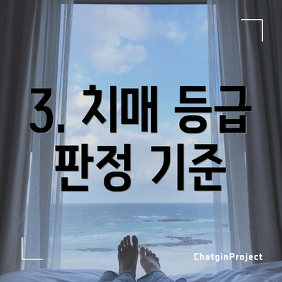 3. 치매 등급 판정 기준