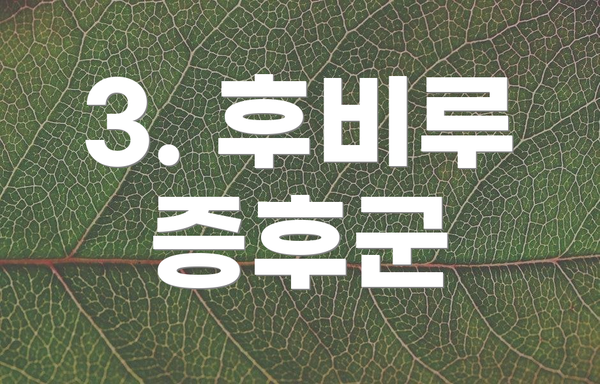 3. 후비루 증후군
