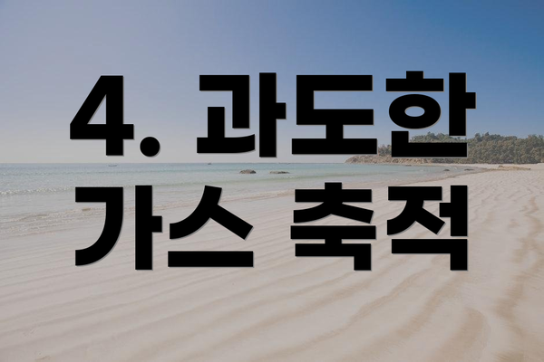 4. 과도한 가스 축적