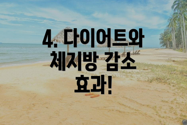 4. 다이어트와 체지방 감소 효과!