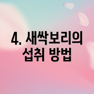 4. 새싹보리의 섭취 방법