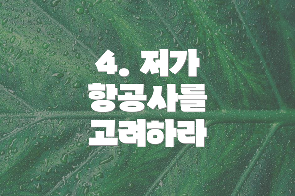 4. 저가 항공사를 고려하라