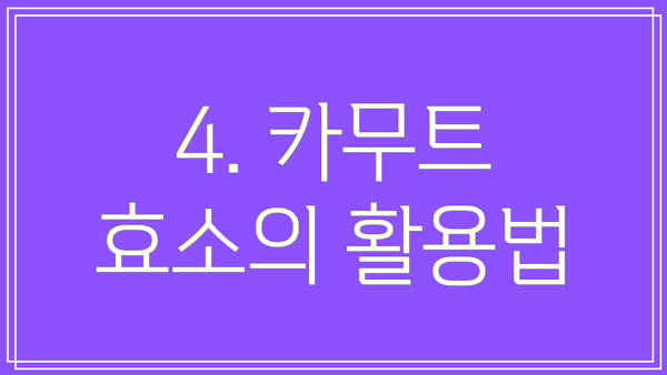 4. 카무트 효소의 활용법