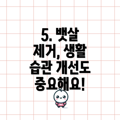 5. 뱃살 제거, 생활 습관 개선도 중요해요!