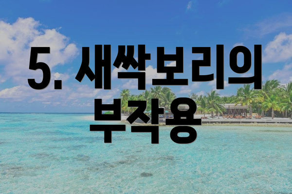 5. 새싹보리의 부작용