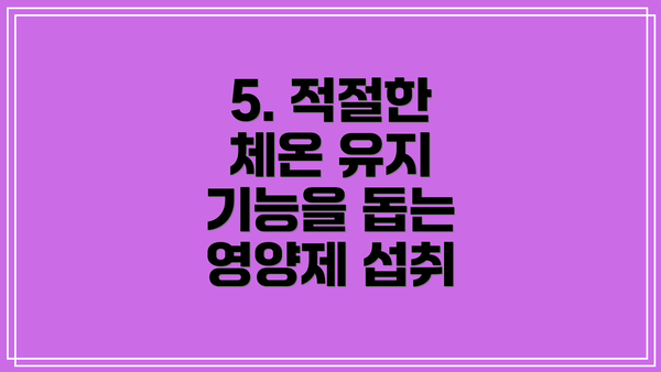 5. 적절한 체온 유지 기능을 돕는 영양제 섭취