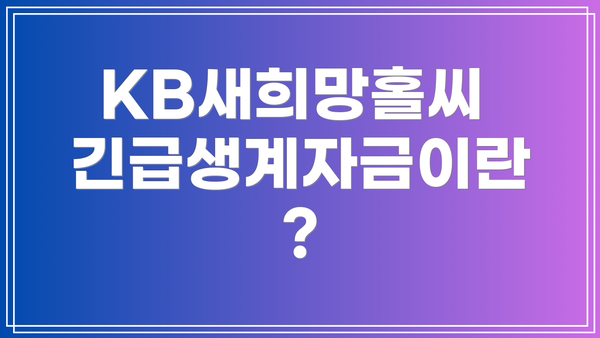 KB새희망홀씨 긴급생계자금이란?