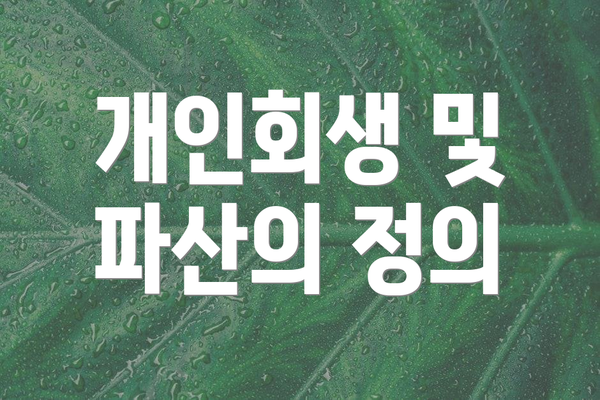 개인회생 및 파산의 정의
