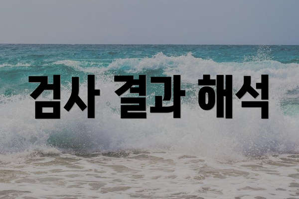 검사 결과 해석