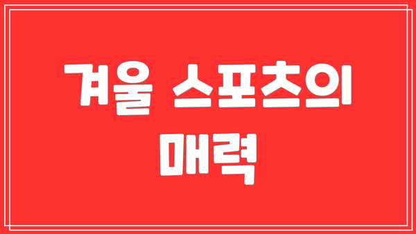 겨울 스포츠의 매력