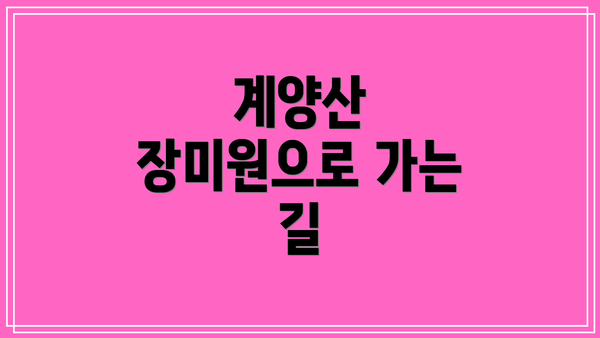 계양산 장미원으로 가는 길