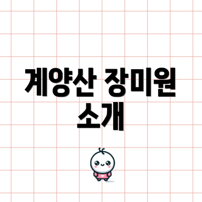계양산 장미원 소개