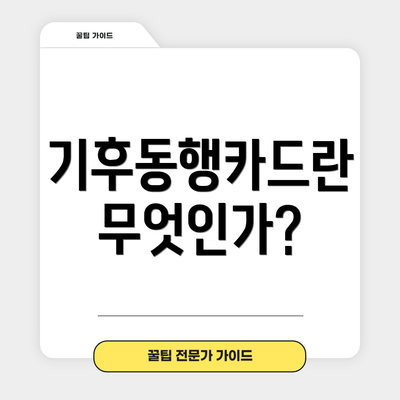 기후동행카드란 무엇인가?