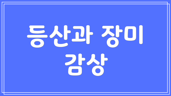등산과 장미 감상