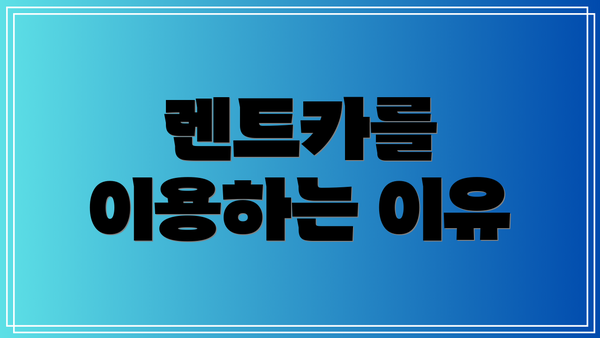 렌트카를 이용하는 이유
