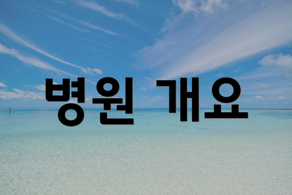 병원 개요