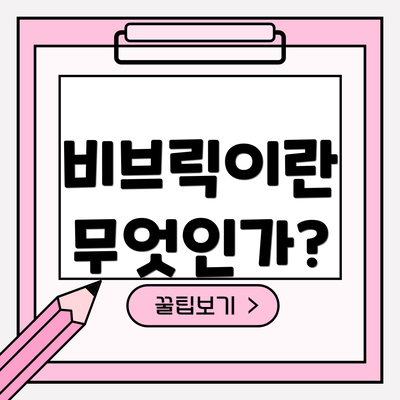 비브릭이란 무엇인가?