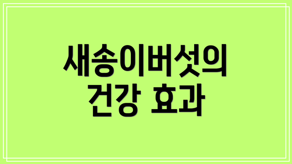 새송이버섯의 건강 효과