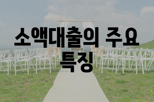 소액대출의 주요 특징