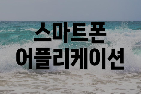 스마트폰 어플리케이션