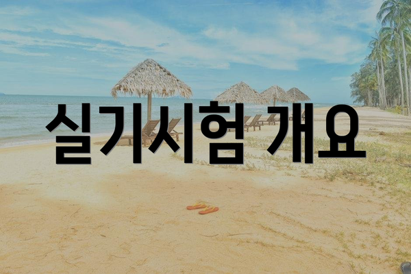 실기시험 개요