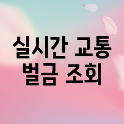 실시간 교통 벌금 조회
