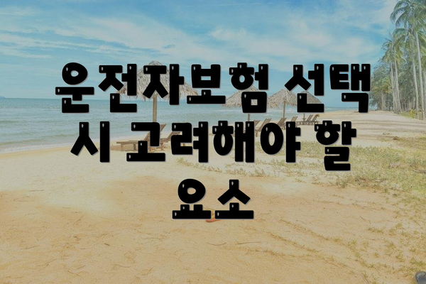 운전자보험 선택 시 고려해야 할 요소