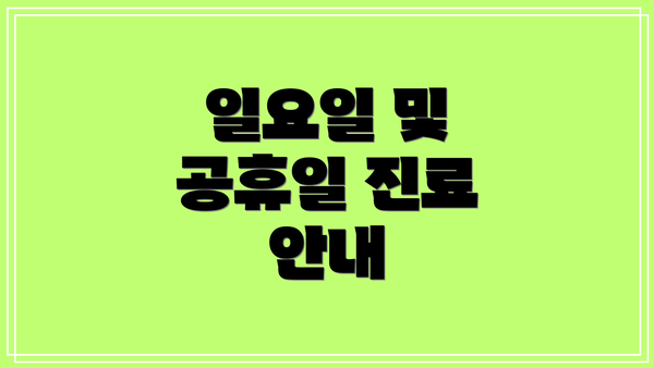 일요일 및 공휴일 진료 안내