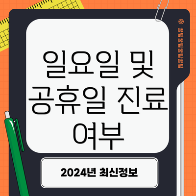 일요일 및 공휴일 진료 여부