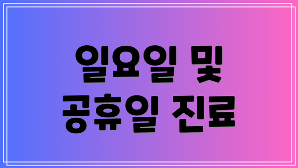 일요일 및 공휴일 진료