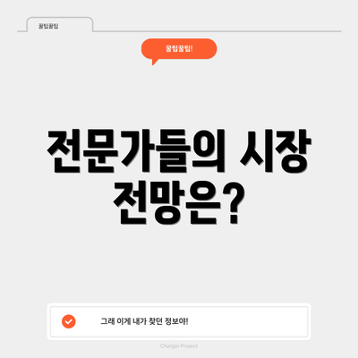 전문가들의 시장 전망은?