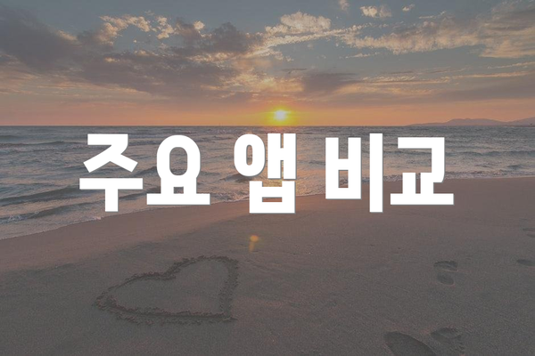 주요 앱 비교