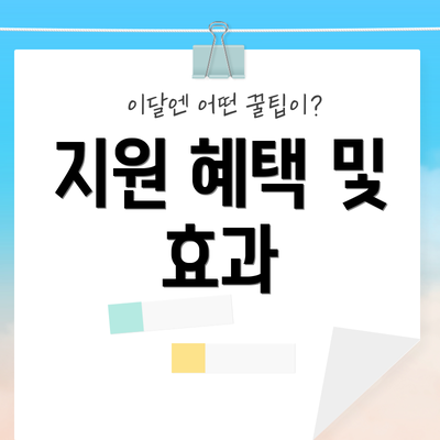 지원 혜택 및 효과