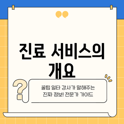 진료 서비스의 개요