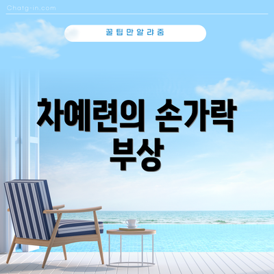 차예련의 손가락 부상