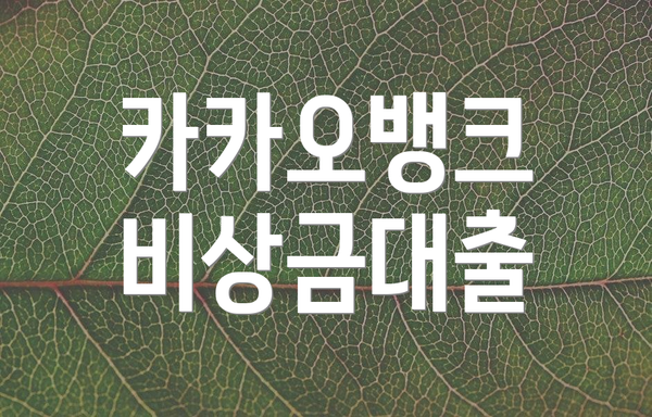 카카오뱅크 비상금대출