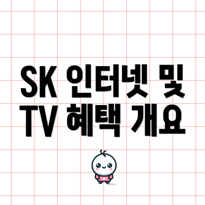 SK 인터넷 및 TV 혜택 개요