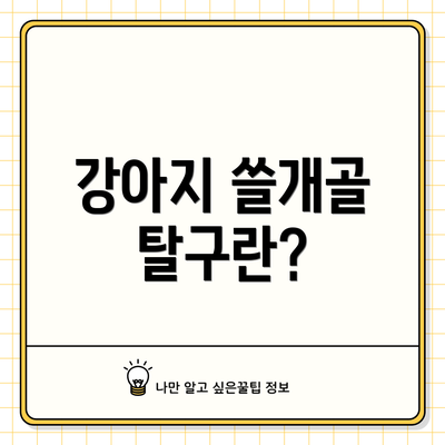 강아지 쓸개골 탈구란?